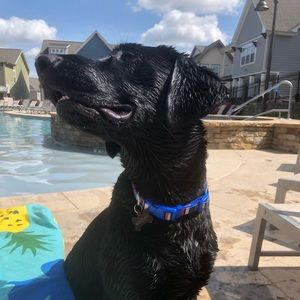 Meet your Posher, Mallory